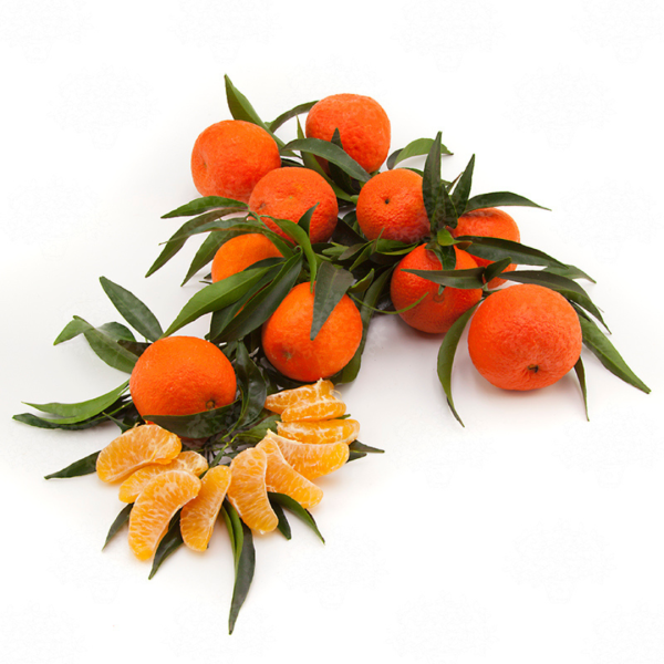Clementine ClemenRuby